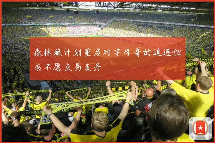 森林狼计划重启对字母哥的追逐但或不愿交易麦丹