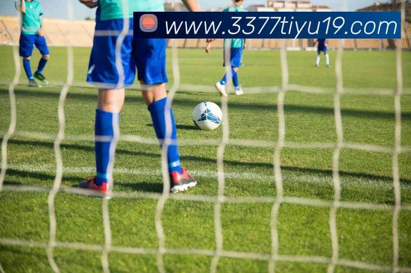 3377体育平台生态图